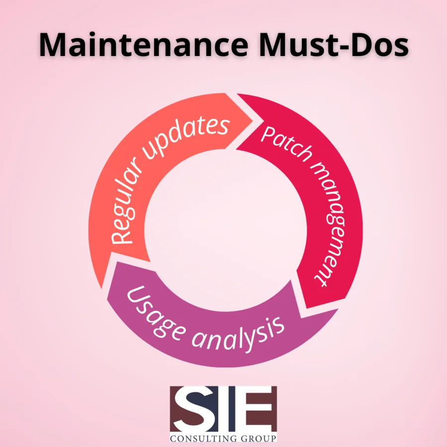 A visual representation of software maintenance best practices, emphasizing the importance of regular updates, patch management, and usage analysis.